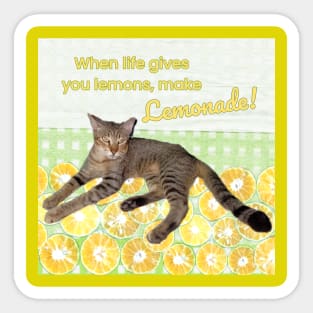 Cat with Funny Quote When Life Gives You Lemons, Make Lemonade Sticker